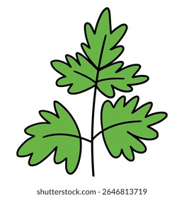 O ramo desenhado à mão do desenho animado da salsa isolado no fundo branco. Ilustração vetorial.