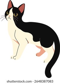 Hand Drawn Cartoon Cat – Vector Graphic