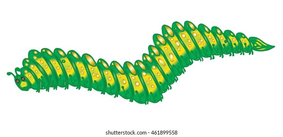 hand drawn, cartoon caterpillar illustration