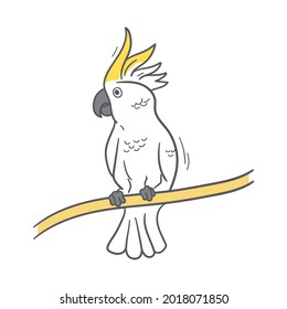 Hand drawn cartoon Cockatoo for exotic, animal kingdom, summer, beach, vacation element etc.