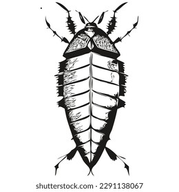 Cucaracha dibujada a mano, cucarachas de ilustraciones vectoriales vectoriales
