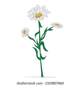 Hand Drawn Cartoon Daisy Isolated On Stock Vector (Royalty Free ...