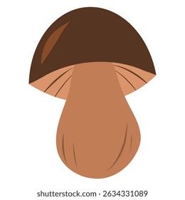 Hand drawn cartoon edible mushroom illustration. Boletus mushroom