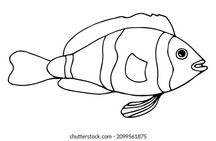 Hand Drawn Cartoon Fish Vector Illustration Stock Vector (Royalty Free ...