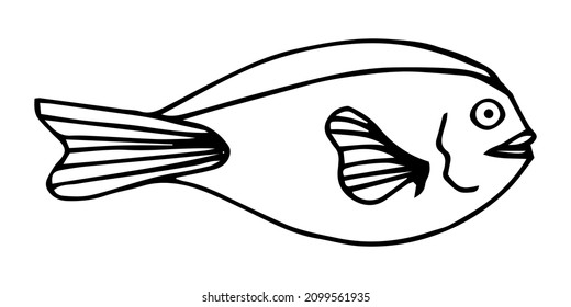 Hand drawn cartoon fish. Vector illustration isolated on white background.