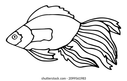 Hand drawn cartoon fish. Vector illustration isolated on white background.