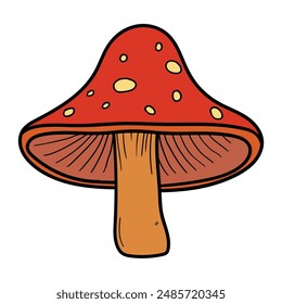 Hand drawn cartoon fly agaric isolated on white background. Vector illustration.