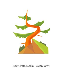 Hand drawn cartoon forest landscape with curved evergreen pine on the hill. Coniferous tree. Woodland nature. Flat vector botanical illustration