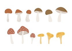 Hand Drawn Cartoon Forest Mushrooms: Porcini, Chanterelle, Bolete And Amanita. Cute Botanicals Isolated On White Background. Abstract Woodland Mushrooms In Flat Style. Childish Vector Illustration