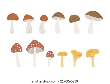 Hand drawn cartoon forest mushrooms: porcini, chanterelle, bolete and amanita. Cute botanicals isolated on white background. Abstract woodland mushrooms in flat style. Childish vector illustration