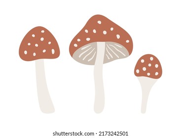 Hand drawn cartoon forest mushrooms: amanita. Cute botanicals isolated on white background. Abstract woodland mushrooms in flat style. Childish vector illustration