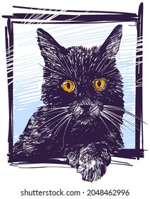 Hand drawn cartoon funny cute black cat with yellow eyes looking from window sketch. Front view vector portrait.