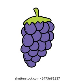 Hand drawn cartoon grapevine isolated on white background. Vector illustration.