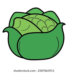 Hand drawn cartoon green cabbage isolated on white background. Vector illustration.