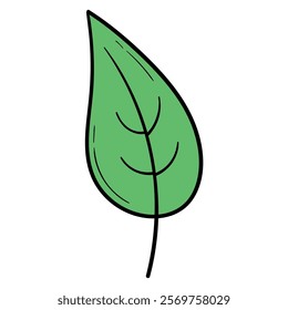 Hand drawn cartoon green leaf isolated on white background. Vector illustration.