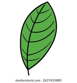 Hand drawn cartoon green leaf isolated on white background. Vector illustration.