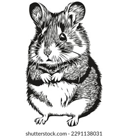 Handgezeichneter Cartoon-Hamster, Vektorgrafik-Hamster
