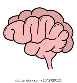 Hand drawn cartoon human brain isolated on a white background. Mental health, science, anatomy, internal organ. Vector illustration.