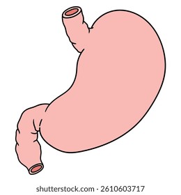 Hand drawn cartoon human stomach isolated on white background. Vector illustration.