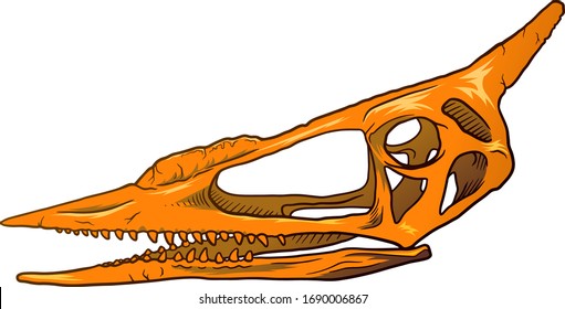 Hand Drawn Cartoon Illustration of Dinosaur Skull isolated on white background, paleontology symbol. Archeology Sticker.