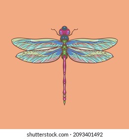 Hand drawn cartoon insect Dragonfly illustration

