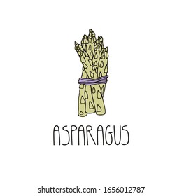 Hand drawn cartoon isolated asparagus plant with inscription. Organic vegetables vector illustration in doodle style. Perfect for menu, prints, cooking classes, cookbooks, wrapping paper