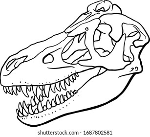 Hand Drawn Cartoon line Illustration of Dinosaur Skull isolated on white background, paleontology symbol. Archeology Sticker.