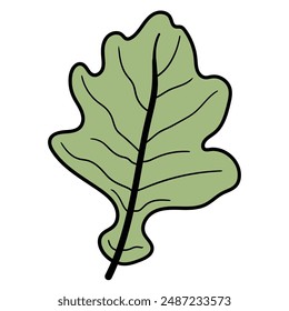 Handgezeichnetes Cartoon Eichenblatt isoliert auf weißem Hintergrund. Vektorillustration.