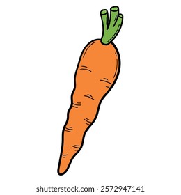 Hand drawn cartoon orange carrot with green leaf isolated on white background. Vector illustration.