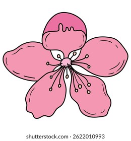 Hand drawn cartoon peach blossom isolated on white background. Vector illustration.