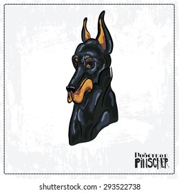 Hand drawn cartoon portrait of Doberman PincherDog. All elements of composition located on separate layers and can be easy editable