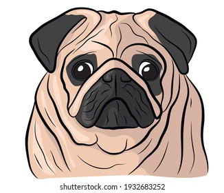 Hand drawn cartoon portrait of a pug. Funny happy smiling pug face. Dogs, pets themed design element, icon, logo.