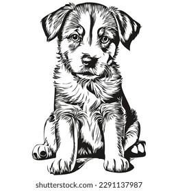 Hand drawn cartoon puppy, vector vintage illustration puppies
