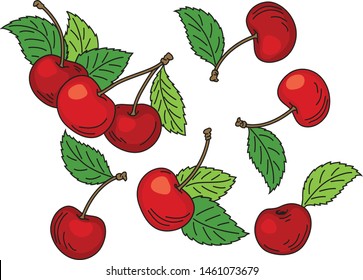 Hand drawn cartoon red ripe cherries with green leaves on white background vector illustration.
