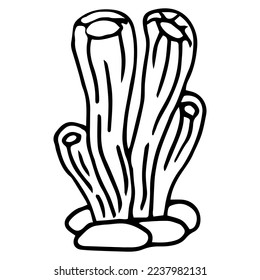 hand drawn cartoon seaweed isolated on white background