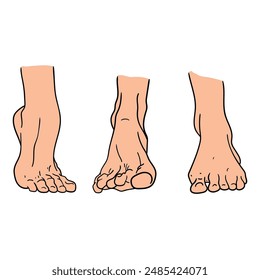 Conjunto de dibujos animados dibujado a mano de piernas humanas aisladas sobre un fondo blanco. Concepto de anatomía. Ilustración vectorial.
