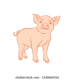 Hand drawn cartoon sketch of funny piggy. 2019 new year symbol. Vector illustration isolated on white background