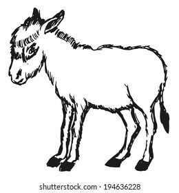 hand drawn, cartoon, sketch illustration of donkey