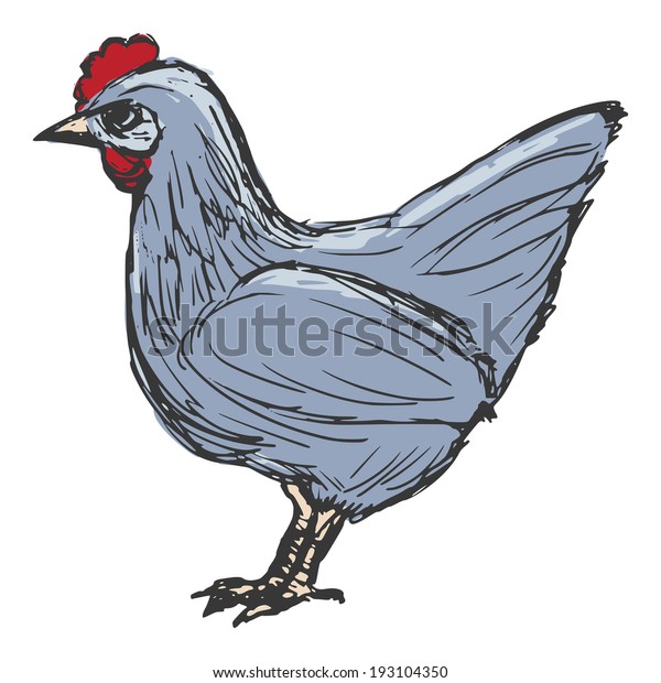 Hand Drawn Cartoon Sketch Illustration Hen Stock Vector Royalty Free