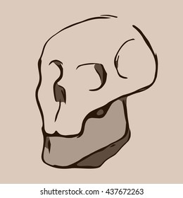 Hand Drawn cartoon Skull. Vector Illustration eps10