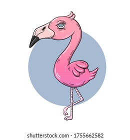 hand drawn cartoon style flamingo illustration design