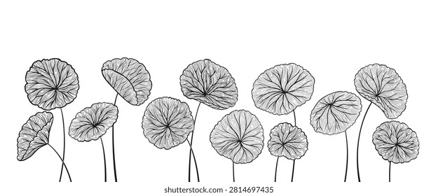 Hand drawn cartoon style set of Centella asiatica stems and leaves. Gotu kola, Asiatic pennywort herb in various shapes. Organic medicinal plant for banner, template poster, postcard Vector background