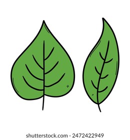 Hand drawn cartoon two green leaves isolated on a white background. Vector illustration.