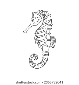 Hand drawn Cartoon Vector illustration seahorses icon Isolated on White Background