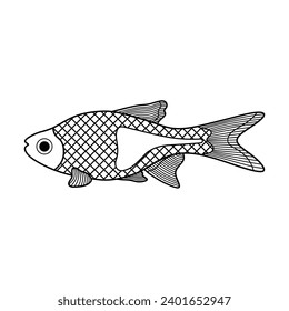 Hand drawn Cartoon Vector illustration harlequin rasbora fish icon Isolated on White Background