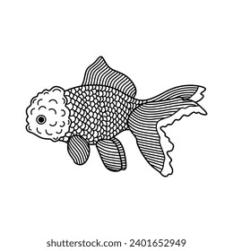 Icono de pez dorado de la ilustración del vector dibujado a mano Aislado en fondo blanco