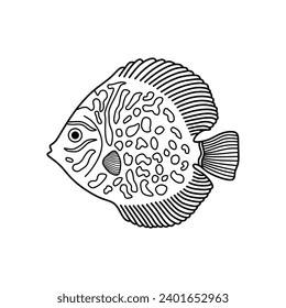 Hand drawn Cartoon Vector illustration discus fish icon Isolated on White Background