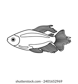 Hand drawn Cartoon Vector illustration congo tetra fish icon Isolated on White Background
