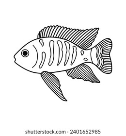 Hand drawn Cartoon Vector illustration african cichlids fish icon Isolated on White Background