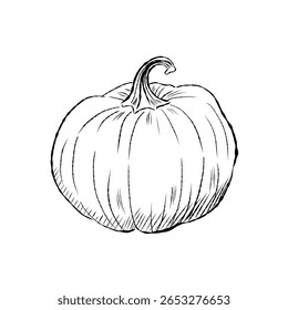 Hand drawn cartoon vector of a pumpkin, ideal for fall, Halloween, Thanksgiving, or organic food themes